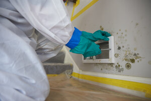 Mold remediation expert in Des Moines providing mold removal services