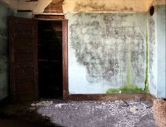 Emergency water cleanup for commercial properties is essential to prevent the growth of mold